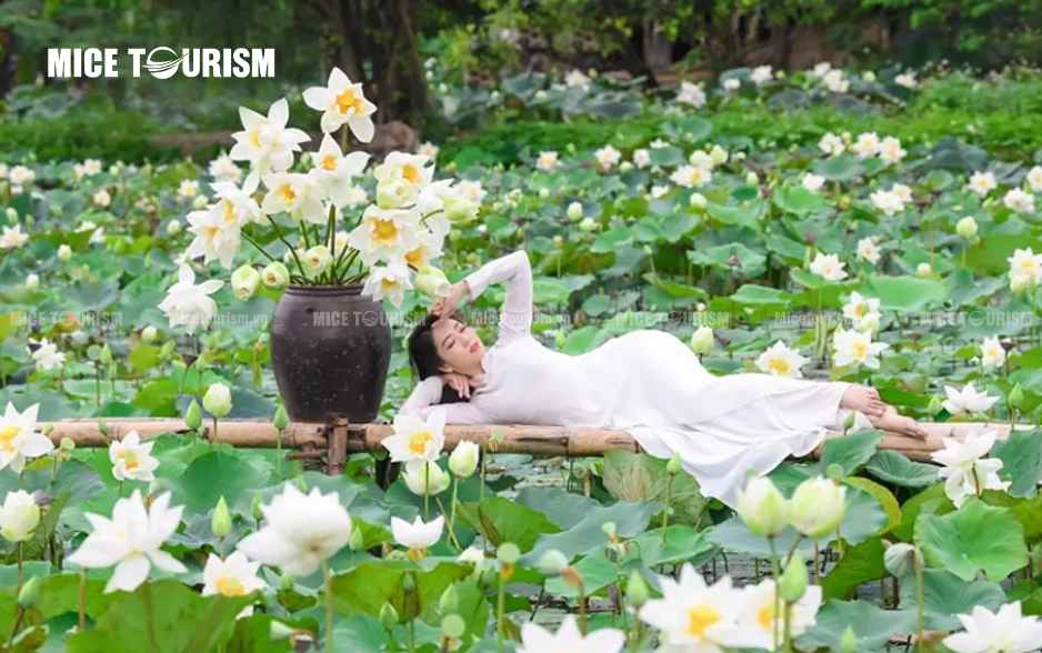 Đầm Sen Bát Tràng