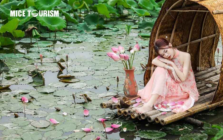 Đầm Sen Ninh Sở Hà Nội