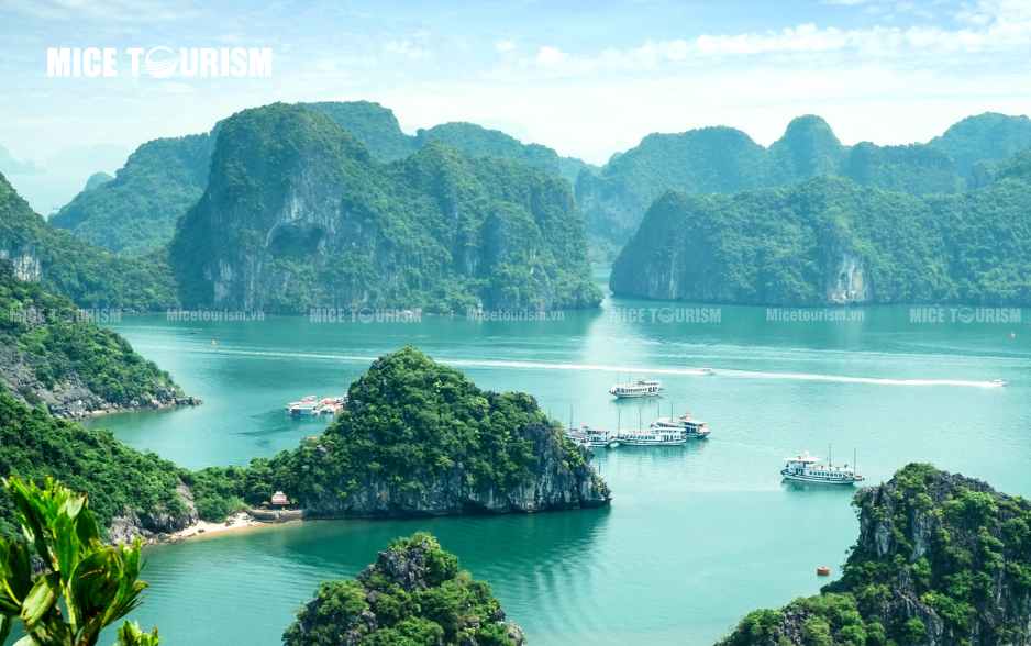 Vịnh Hạ Long
