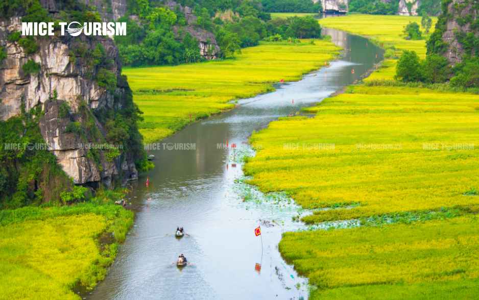 Tam Cốc - Bích Động