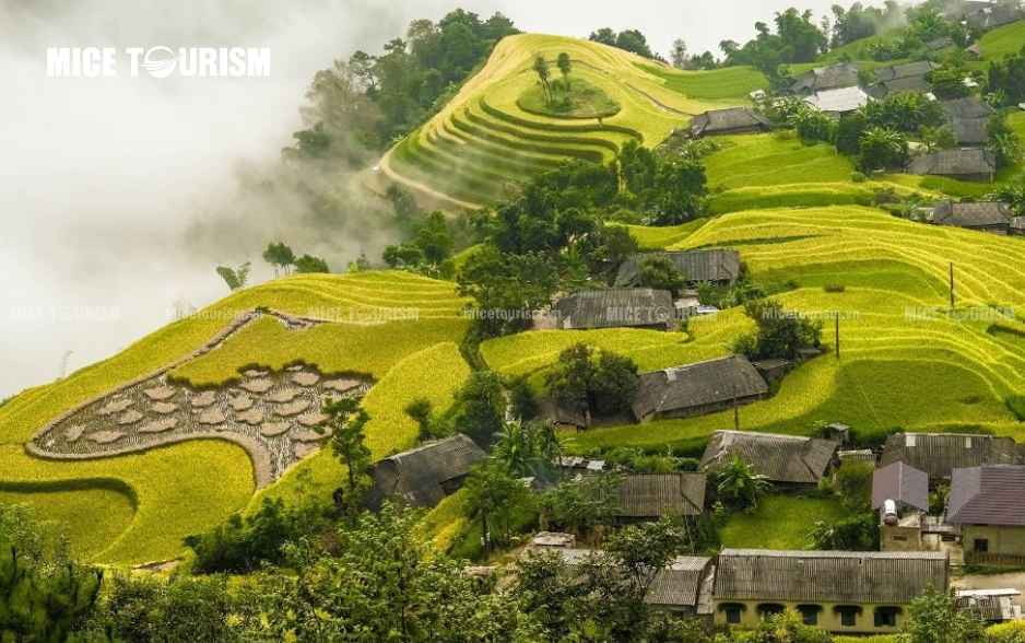 Hoàng Su Phì (Hà Giang)