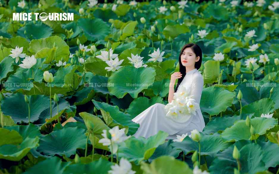 Đầm Sen Xuân Đỉnh